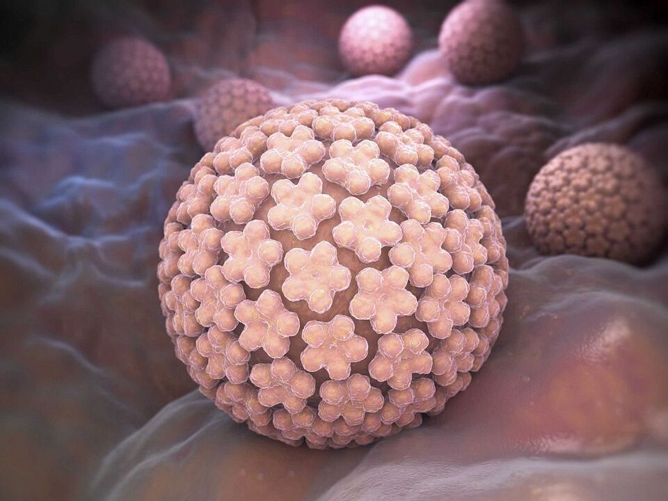 Ursachen von HPV